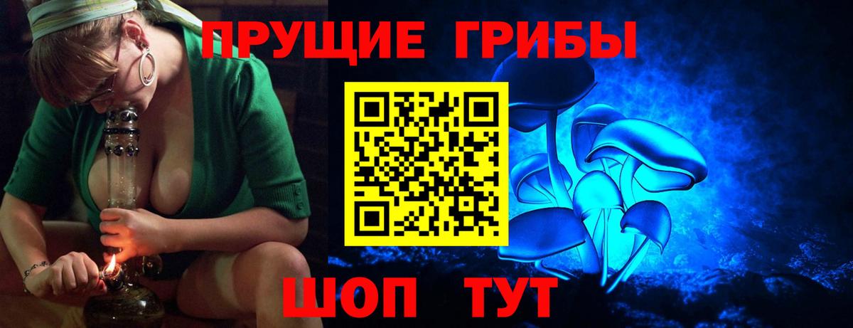 Северск  Псилоцибиновые грибы Cubensis  Вход с VPN 